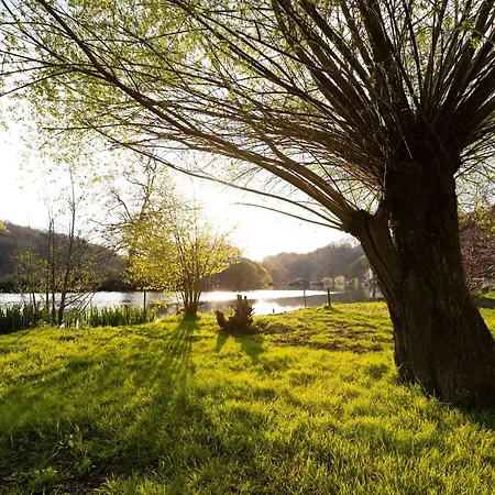Ferienhaus Renove En Bord De Sevre Avec Jardin Partage, Pour 6 Personnes, Proche De Puy Du Fou - Fr-1-426-485 Mortagne-sur-Sevre